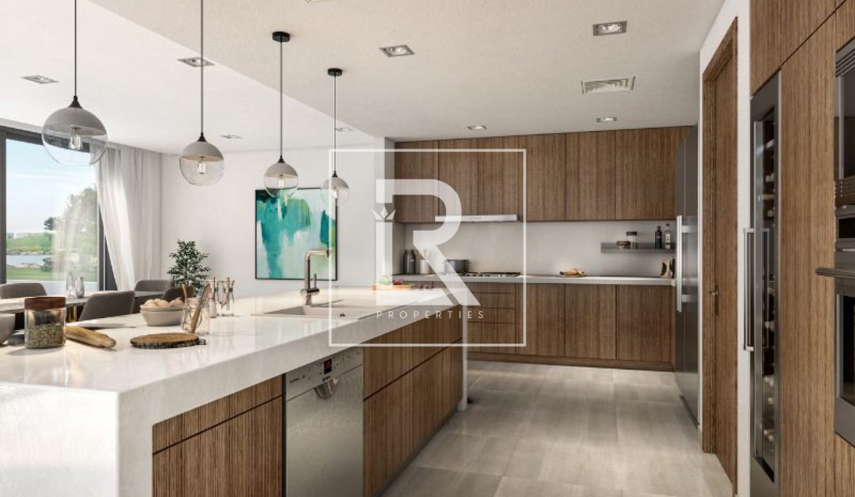 property_1613_1730965765_20466171616