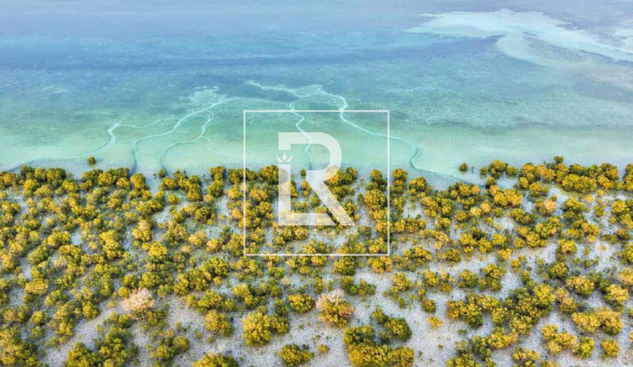 property_839_1725097096_170346078925