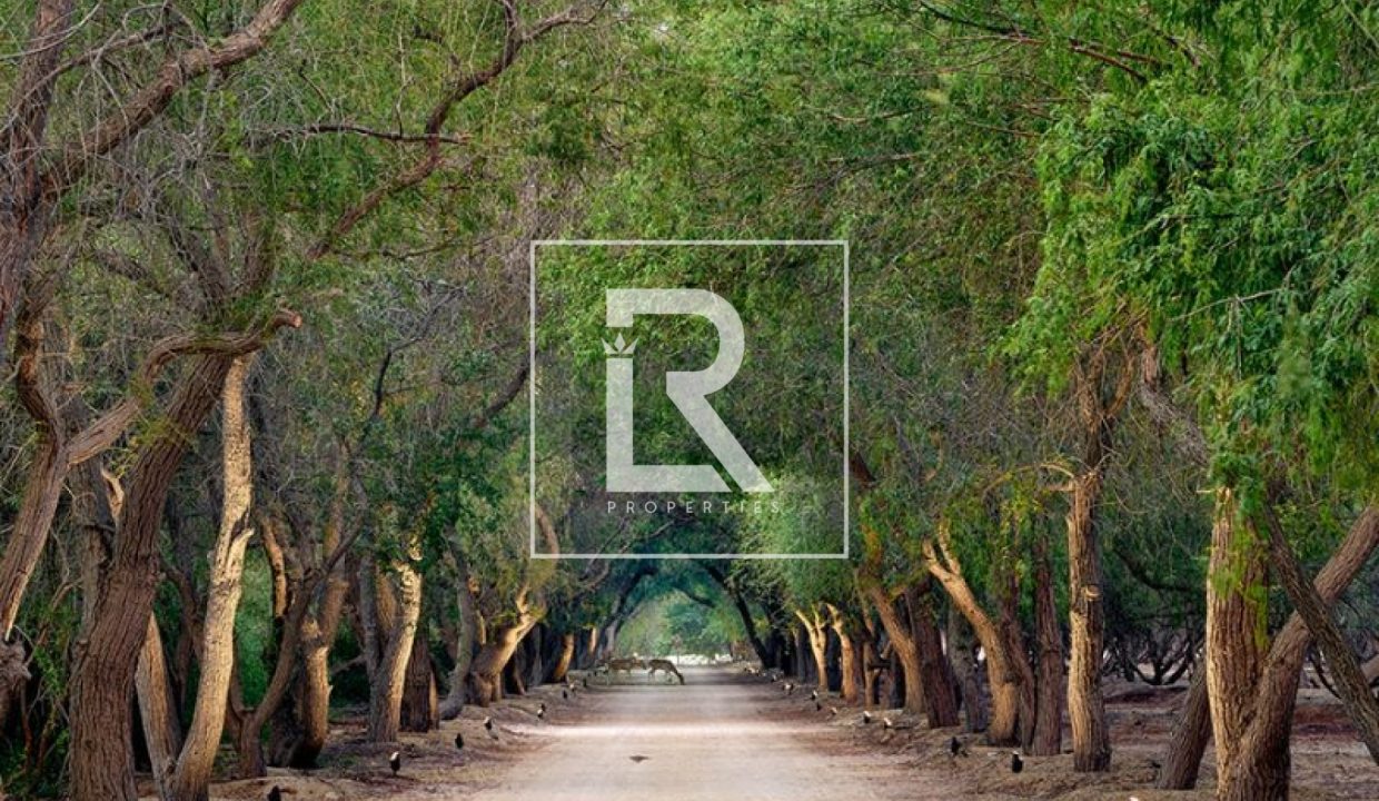 687e31dbc112f_1753100763