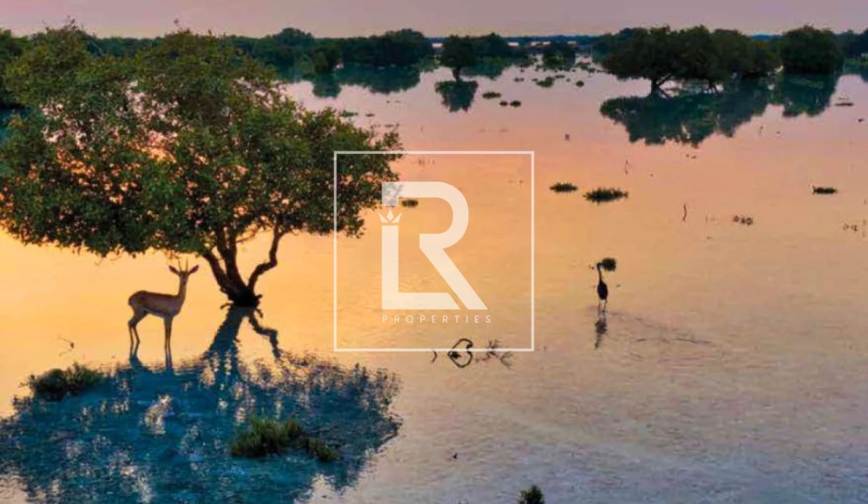 68c017a650ffc_1757419430