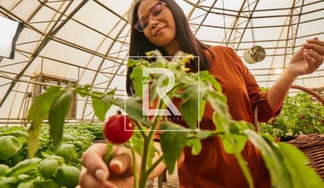 696e09748b967_1768819060