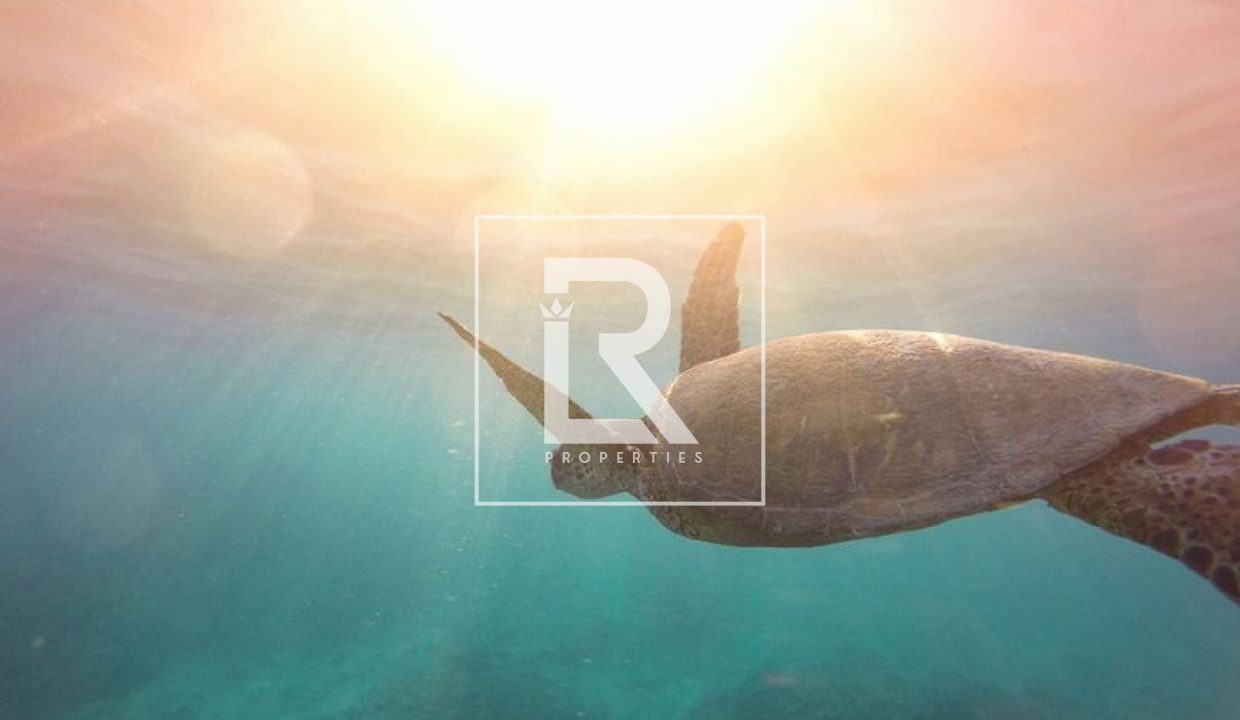 property_5790_69c78934cebdd_1774684468_150156962820