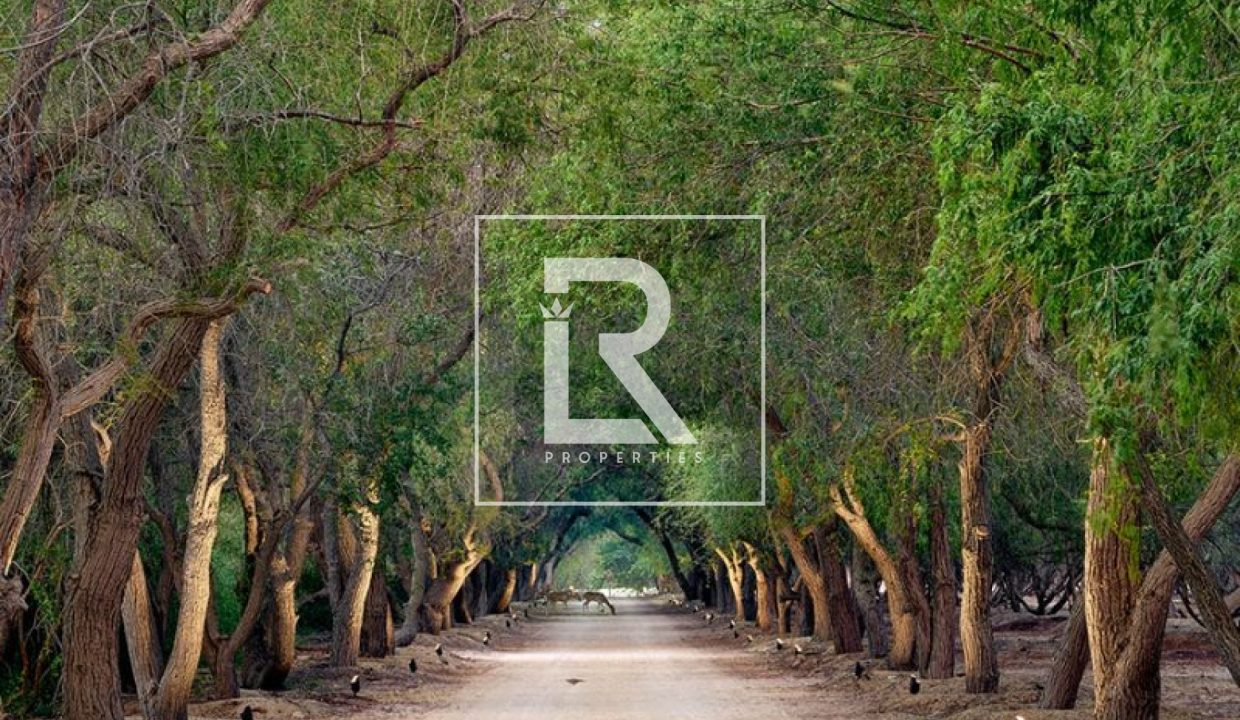 property_5790_69c78935c6537_1774684469_145397160422